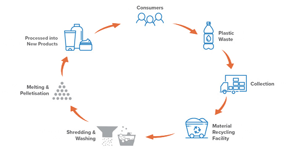 2019-05-05: Wenesy launched PCR bottles