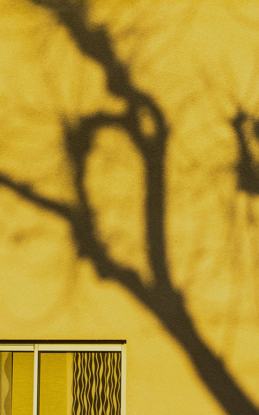 DIMARA · SILVER FIELD