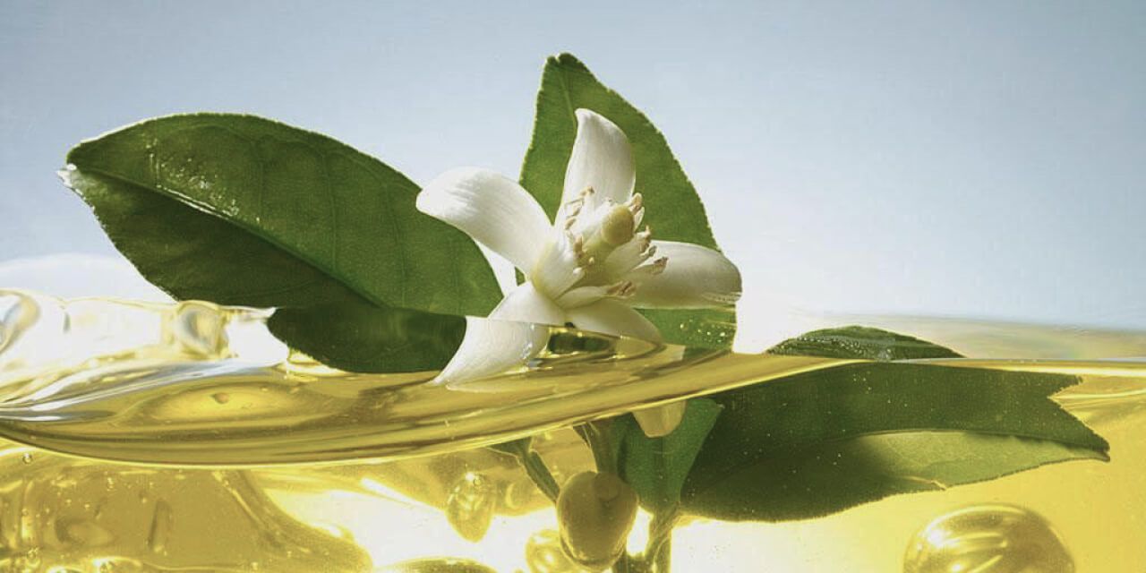 Neroli, Jasmine, Neroli Oil, Pittosporum