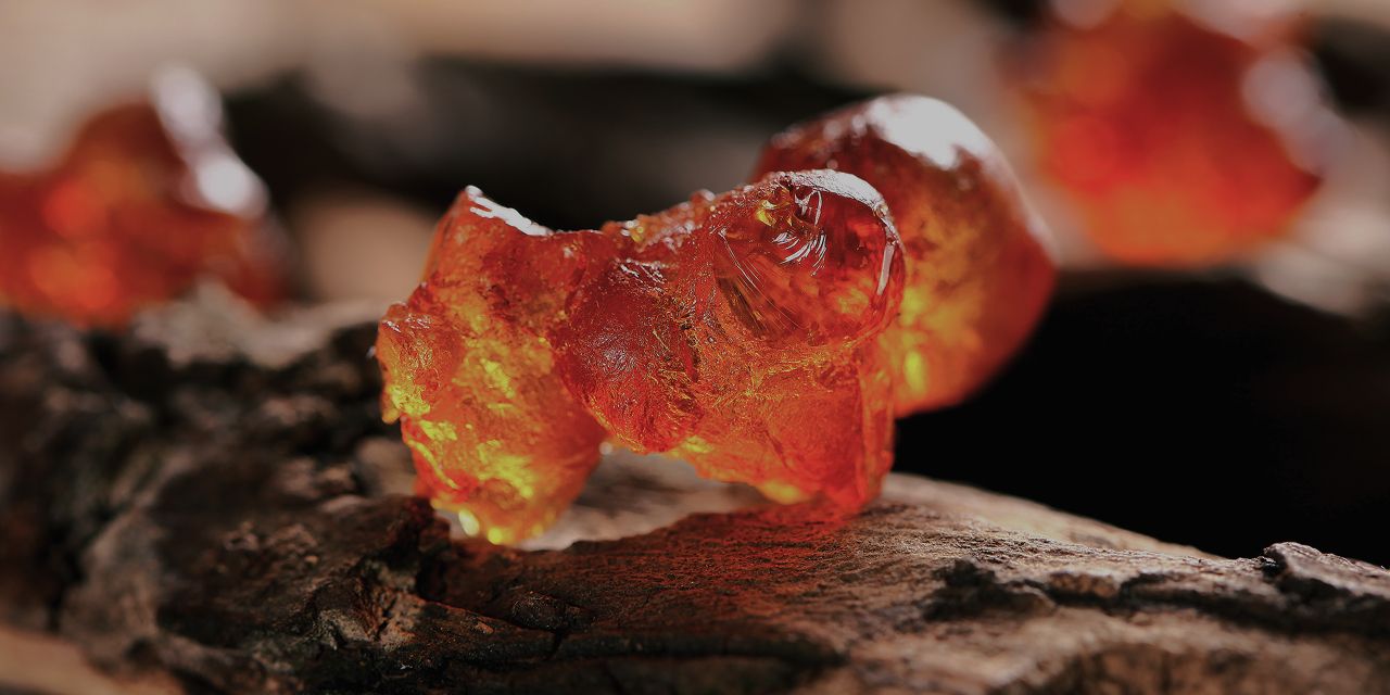 Milk Accord, Incense, Ambergris, Benzoin