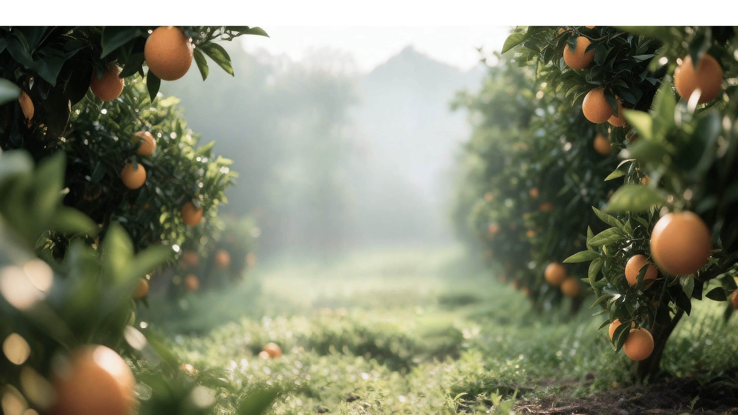 ECOSPA · CITRUS GLOW