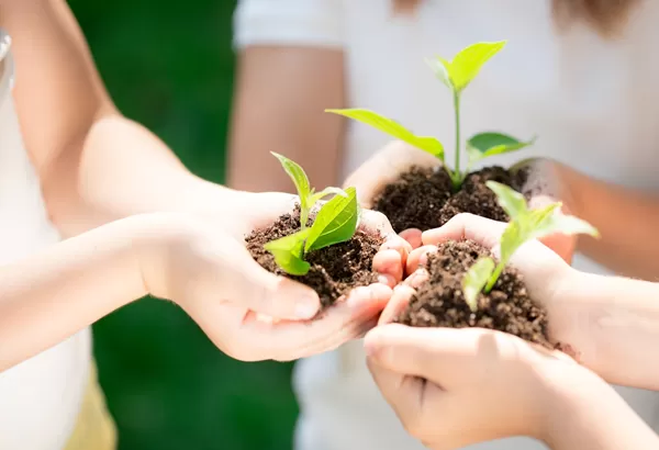 Wenesy Cosmetics Ltd.